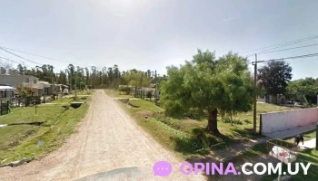 Lo de Sandro - 91500 Sauce