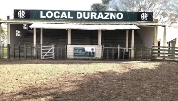 Local Andrade - Homero Andrade Local Andrade - Homero Andrade