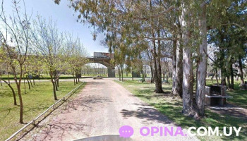 Locos X las Tortas Fritas - 45100 Paso De Los Toros