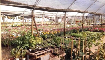 Los Helechos - Ruta 7