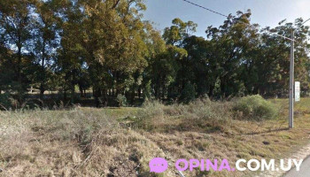 Macho's barbero shop - Av. Carlos Racine