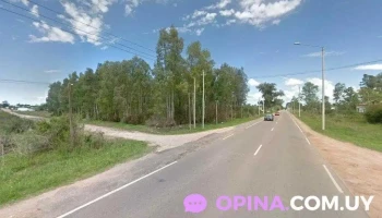 Madereira Madeirāo - Loja - 37100