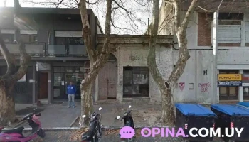 Mag & Dev - Red de Consultoría - División Bienes Raices - Col. Del Sacramento