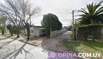 MalditaBarber - 12300 Montevideo MalditaBarber - 12300 Montevideo