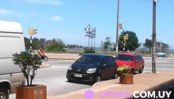 Malet Consultorio Veterinario - 11400 Montevideo