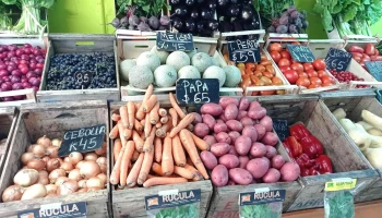 Mándale fruta - 11600 Montevideo Mándale fruta - 11600 Montevideo