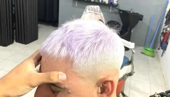 Mandril Studio - Entre Florida Y Mandril Studio - Entre Florida Y