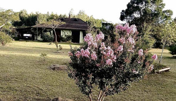 Manota Casa de Campo deleita tus sentidos - 33000 Treinta Y Tres