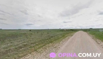 MaríaGrela - 94100 Palermo MaríaGrela - 94100 Palermo