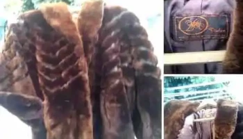 Marketin - 15000 Ciudad De La Costa