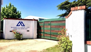 Marsella e Hijos - Atlántida Marsella e Hijos - Atlántida