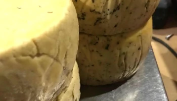 Martínez e Hijo Distribuciones - 16000 Atlántida Martínez e Hijo Distribuciones - 16000 Atlántida