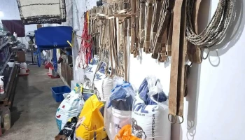 Mas Campo - Zorrilla De San Martin