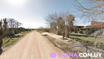 Mathi barber - 12400 Las Piedras