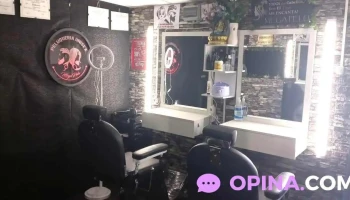 MegaPelu Peluqueria Unisex - 12200 Montevideo