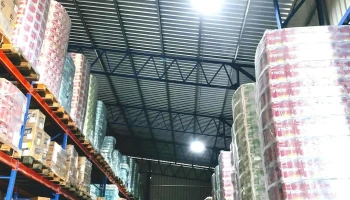 Melynor S.a - 65000 Fray Bentos