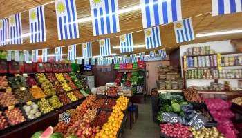 Mercado de frutas y verduras santa rosa - 91400 Santa Rosa Mercado de frutas y verduras santa rosa - 91400 Santa Rosa