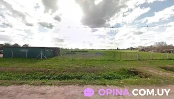 Mercado Del Este - Frutas y Verduras - 15500 Barros Blancos