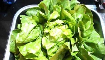 Mercado Peluffo Autoservicio - 91000 Pando