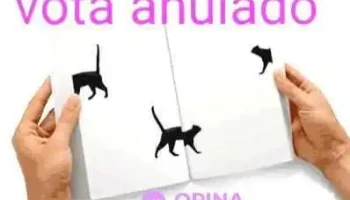 Merilex S.a. - 11800 Montevideo