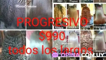 Mf Progresivo - 11400 Montevideo