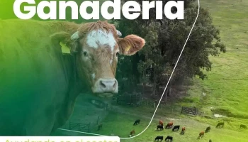 MFtopografia - Treinta Y Tres MFtopografia - Treinta Y Tres