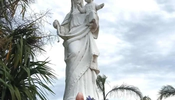 Mini market mi barrio - 27300 Lascano