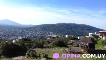 Moscato - 20200 Piriápolis