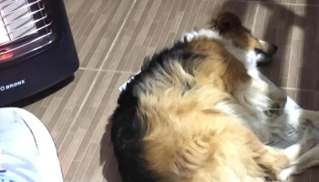 Mueblería Lérida - Rodríguez