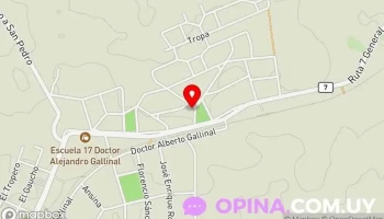 Multirubros - 96500 Alejandro Gallinal Multirubros - 96500 Alejandro Gallinal