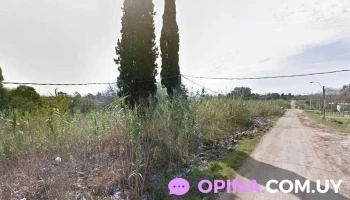 Multivet - J Multivet - J