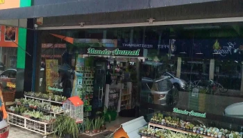 Mundo Animal - Tienda 1 - - Centro