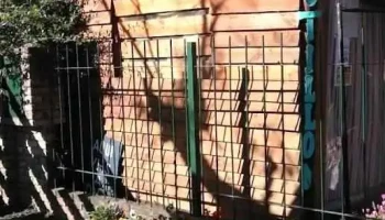 MundoAzul - Las Toscas