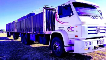 Myrin Dolores - 21 4072