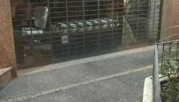 Negra María - 11300 Montevideo