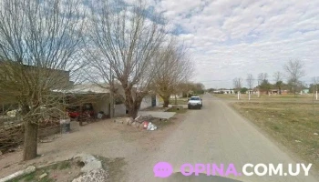 Nestor Coiffeur - Paseo De Los Argentinos