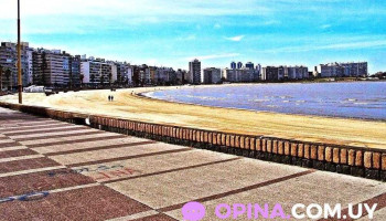 New Home Propiedades Oficina Pocitos - Montevideo