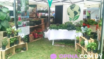 Nuestro Ecolugar - 91200 San Bautista Nuestro Ecolugar - 91200 San Bautista