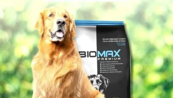 Nutridog Salto - Delivery de Raciones y Pet Shop - Agraciada 899