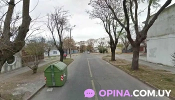 Olaso Negocios Inmobiliarios - Montevideo