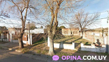 Omnilife Paysandú - 60000 Paysandú Omnilife Paysandú - 60000 Paysandú