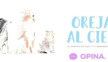 Orejas al Cielo - Uruguay Orejas al Cielo - Uruguay