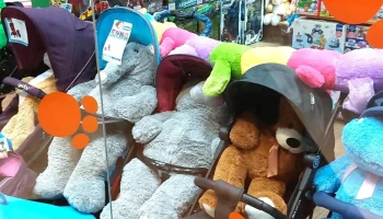 Ositos & Cia - Montevideo