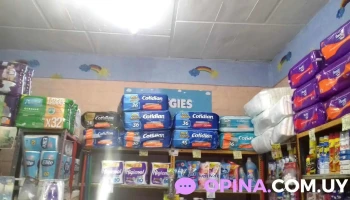 Pañalera Salinas - Ruta 87 Esq