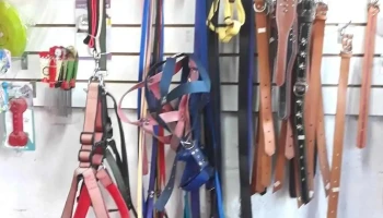 Pancitas Felices Ii Pet Shop - Flecha De Oro