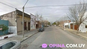 Panoja Dorada - 33000 Treinta Y Tres Panoja Dorada - 33000 Treinta Y Tres