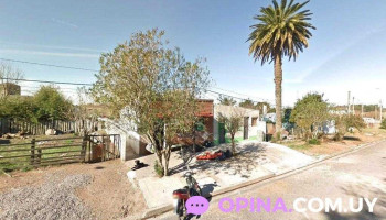 Paola Peinados - 33000 Treinta Y Tres Paola Peinados - 33000 Treinta Y Tres