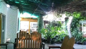 Parque 17 de febrero - Acacia 321