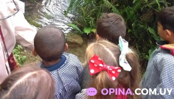 Parque Biomas - 12700 Montevideo Parque Biomas - 12700 Montevideo