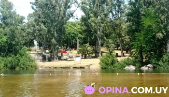 Parque Robaina - Av. Zelmar Michelini Parque Robaina - Av. Zelmar Michelini